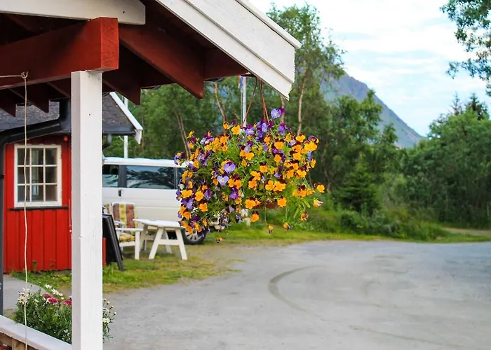 Lofoten Camp