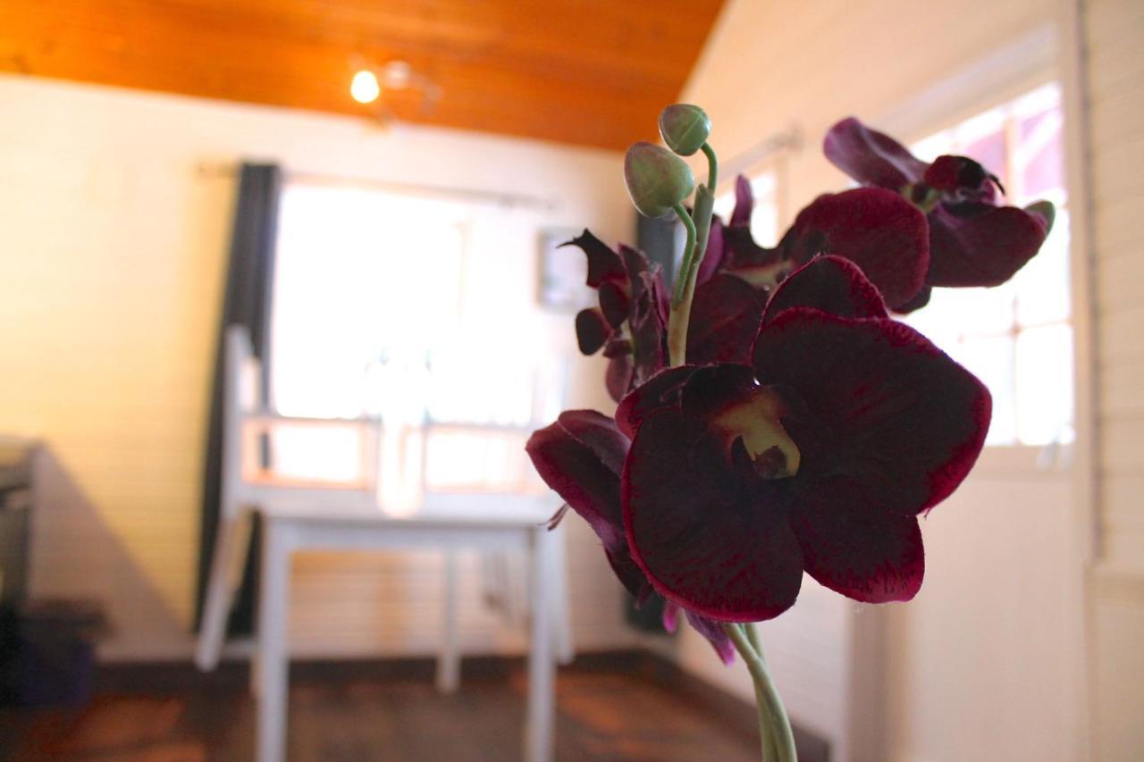 Lofoten Camp Lodge *